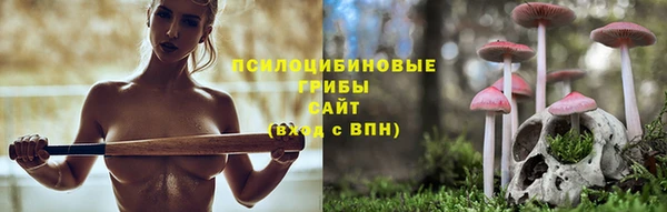 не бодяженный Богородск