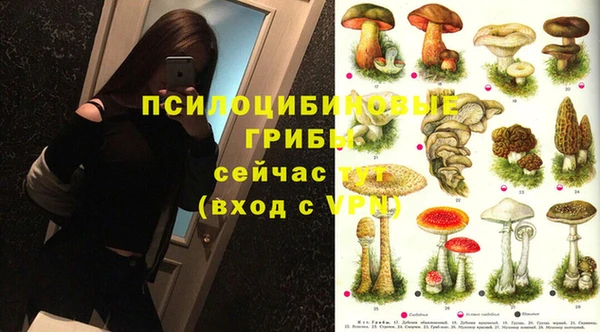 амф Белоозёрский