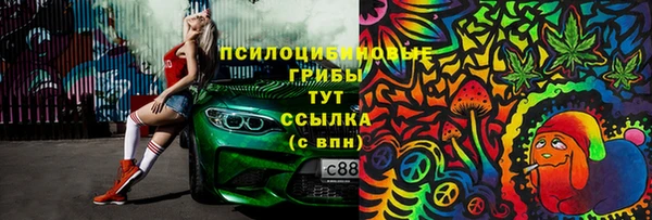 соль ск Белокуриха