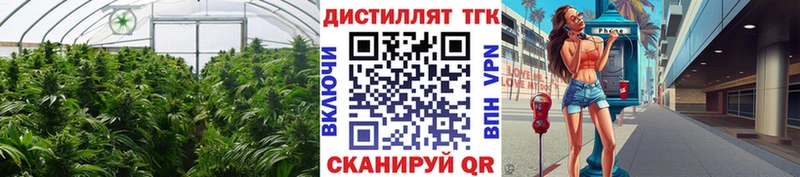 ТГК Wax  Белоусово 