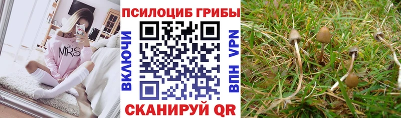 Галлюциногенные грибы Cubensis  Белоусово 